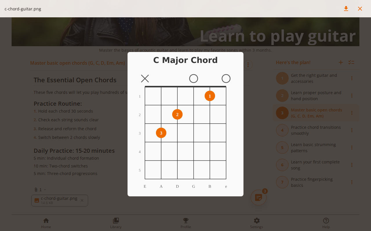 Screenshot showing the attachment viewer displaying an image with navigation arrows