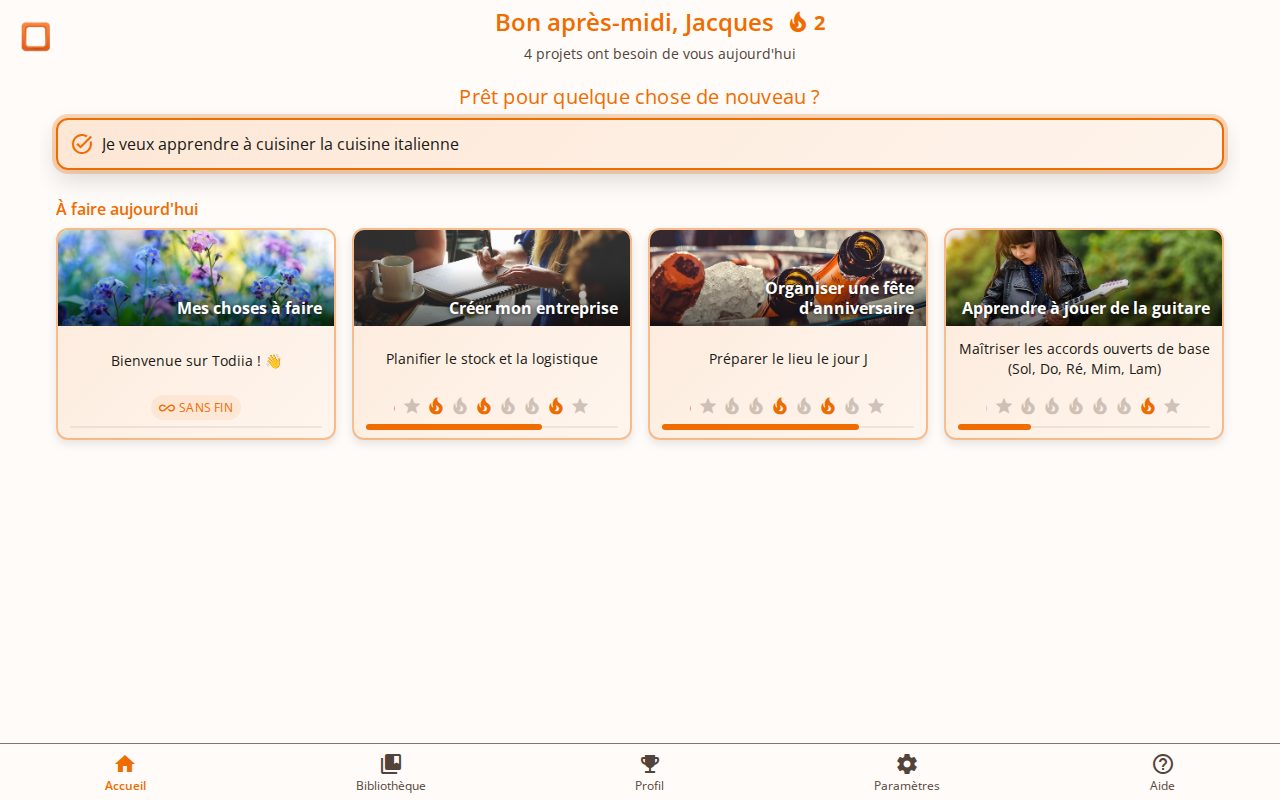 Capture d'écran montrant comment saisir une description de projet dans todiia